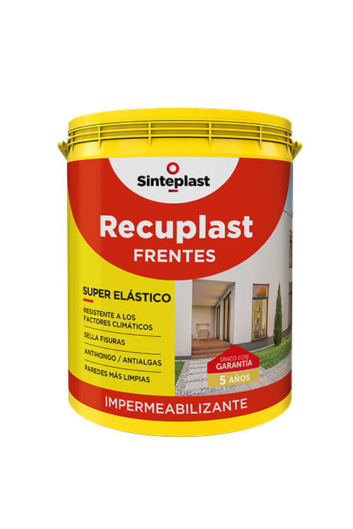 RECUPLAST FRENTES TINT (10185)