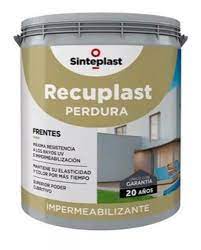 PERDURA FRENTES TINT 19.4LTS (153382)